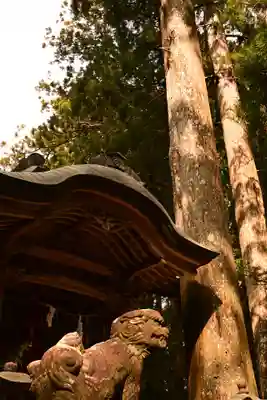 杉原神社(高知県)
