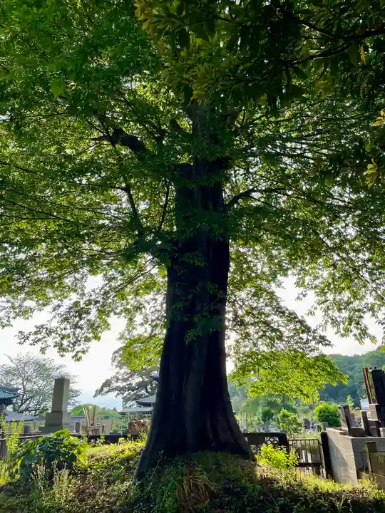 長生院(神奈川県)