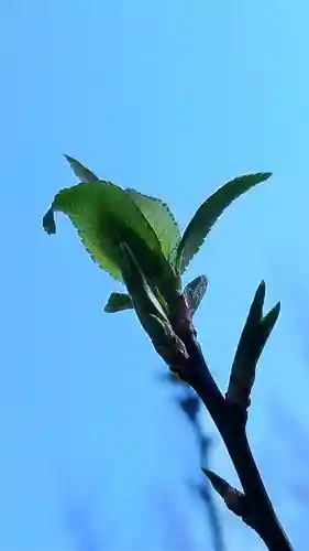 小野照崎神社(東京都)