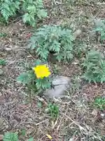 茂岩神社(北海道)