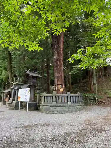 諏訪大社下社春宮の自然