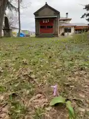 新十津川神社(北海道)