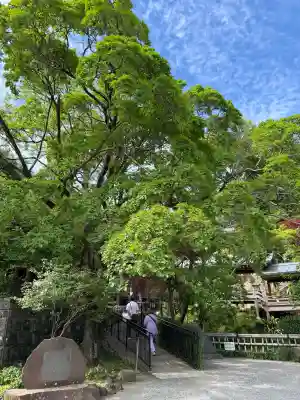 深大寺の{uncategorized: "未分類", other: "その他", undefined: "問題あり", building: "その他建物", grave: "お墓", sacred_gate: "鳥居", guardian: "狛犬", statue: "像", buddha: "仏像", history: "歴史", nature: "自然", garden: "庭園", animal: "動物", pagoda: "塔", temizu: "手水舎", mountain_gate: "山門・神門", sanctuary: "本殿・本堂", subordinate: "末社・摂社", art: "芸術", scenery: "景色", jizo: "地蔵", ema: "絵馬", goshuin: "御朱印", omikuji: "おみくじ", items: "授与品その他", amulet: "お守り", goshuincho: "御朱印帳", eats: "食事", festival: "お祭り", votive_dance: "神楽", shichigosan: "七五三参", wedding: "結婚式", experience: "体験その他", initially: "初詣", around: "周辺", anti_infection: "感染症対策"}