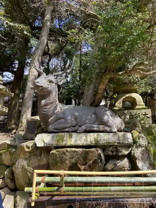 春日大社(奈良県)