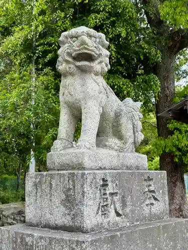 和泉國一之宮　大鳥大社の狛犬