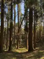 大杉神社の周辺