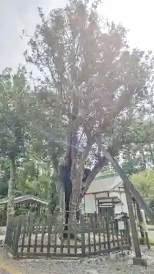 天宮神社の自然