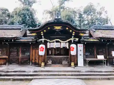 平野神社の本殿・本堂