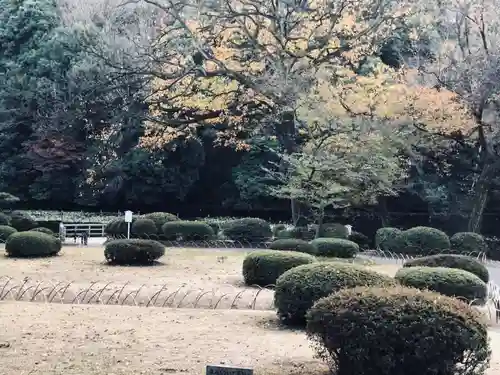 明治神宮(東京都)