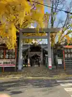 波除神社(波除稲荷神社)の鳥居