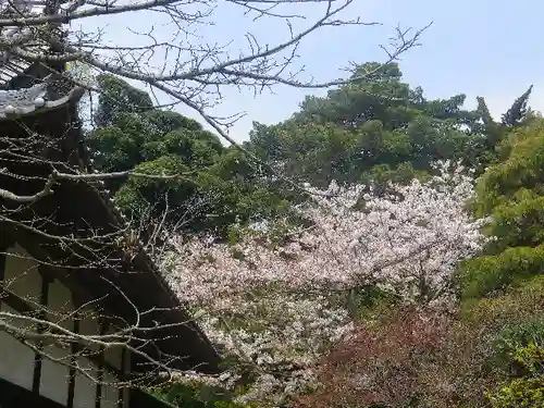 浄光明寺の自然