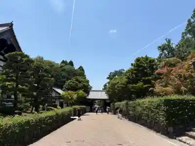 東福禅寺(東福寺)(京都府)