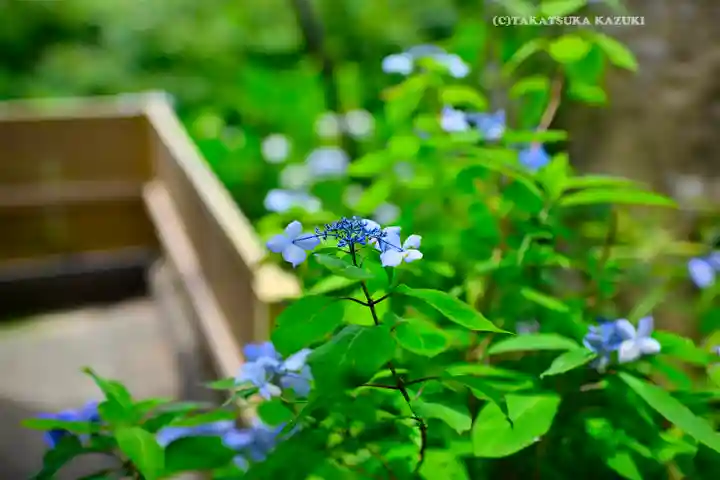 円覚寺(神奈川県)