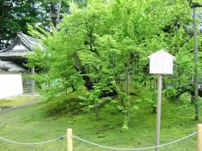 瑞巌寺(宮城県)
