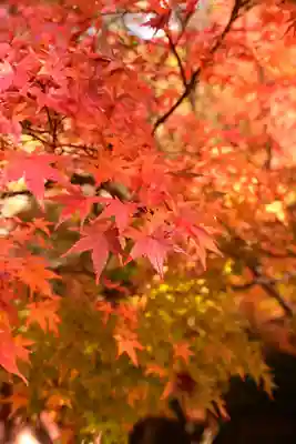 神護寺(京都府)