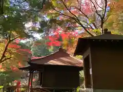 普門寺(切り絵御朱印発祥の寺)(愛知県)