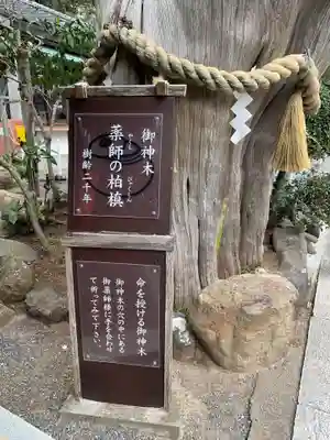 伊古奈比咩命神社のその他建物
