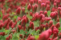 藤稲荷神社の周辺