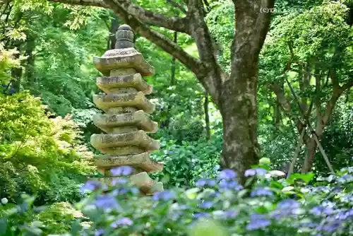 高幡不動尊　金剛寺の庭園