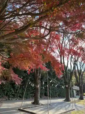 靜岡縣護國神社(静岡県)
