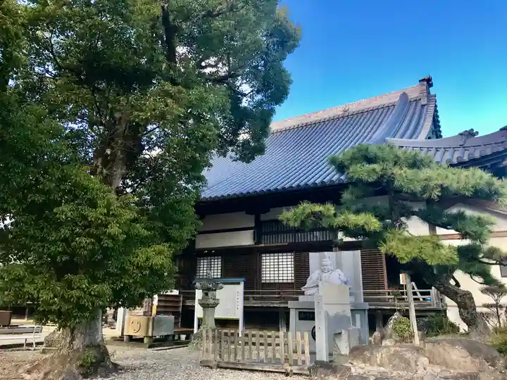 大樹寺(松安院大樹寺)の本殿・本堂