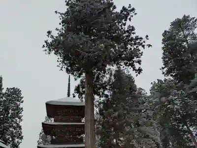若一王子神社(長野県)