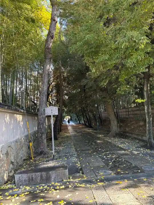 今宮神社(京都府)