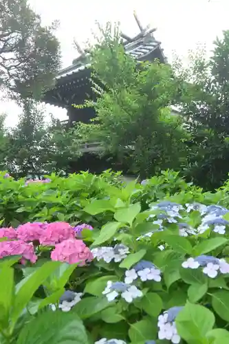 白山神社(東京都)