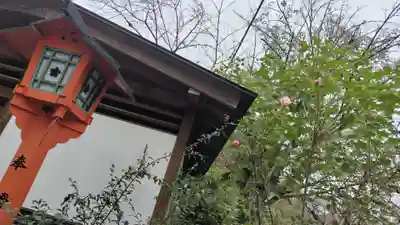 平野神社(京都府)