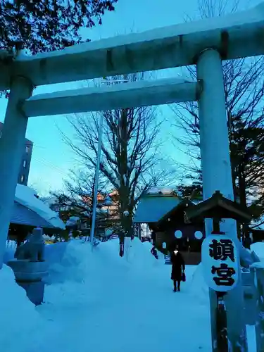 北海道神宮頓宮の鳥居