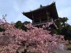 東漸寺(愛知県)