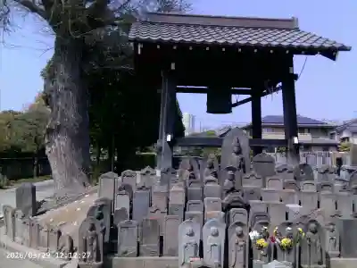 真勝院の{uncategorized: "未分類", other: "その他", undefined: "問題あり", building: "その他建物", grave: "お墓", sacred_gate: "鳥居", guardian: "狛犬", statue: "像", buddha: "仏像", history: "歴史", nature: "自然", garden: "庭園", animal: "動物", pagoda: "塔", temizu: "手水舎", mountain_gate: "山門・神門", sanctuary: "本殿・本堂", subordinate: "末社・摂社", art: "芸術", scenery: "景色", jizo: "地蔵", ema: "絵馬", goshuin: "御朱印", omikuji: "おみくじ", items: "授与品その他", amulet: "お守り", goshuincho: "御朱印帳", eats: "食事", festival: "お祭り", votive_dance: "神楽", shichigosan: "七五三参", wedding: "結婚式", experience: "体験その他", initially: "初詣", around: "周辺", anti_infection: "感染症対策"}