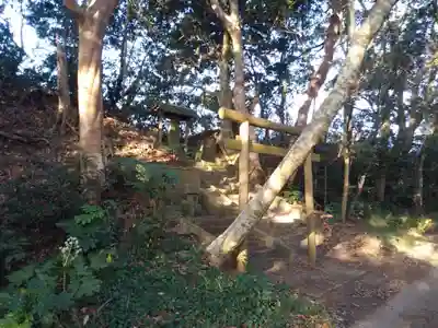 大山阿夫利/龍 神社の鳥居