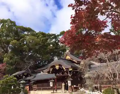 今宮神社の本殿・本堂