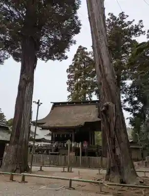 鹿島神宮(茨城県)