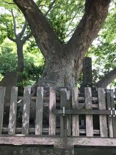 六代山不動院の自然