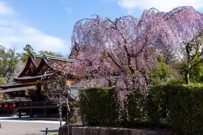 北野天満宮(京都府)