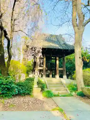 南光寺(笠懸不動尊)の{uncategorized: "未分類", other: "その他", undefined: "問題あり", building: "その他建物", grave: "お墓", sacred_gate: "鳥居", guardian: "狛犬", statue: "像", buddha: "仏像", history: "歴史", nature: "自然", garden: "庭園", animal: "動物", pagoda: "塔", temizu: "手水舎", mountain_gate: "山門・神門", sanctuary: "本殿・本堂", subordinate: "末社・摂社", art: "芸術", scenery: "景色", jizo: "地蔵", ema: "絵馬", goshuin: "御朱印", omikuji: "おみくじ", items: "授与品その他", amulet: "お守り", goshuincho: "御朱印帳", eats: "食事", festival: "お祭り", votive_dance: "神楽", shichigosan: "七五三参", wedding: "結婚式", experience: "体験その他", initially: "初詣", around: "周辺", anti_infection: "感染症対策"}