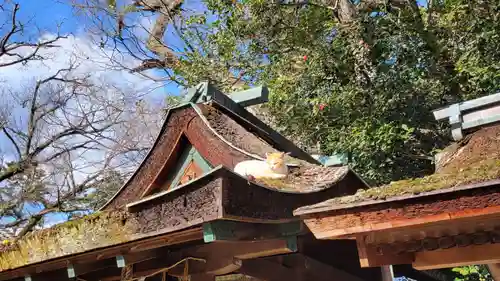 宗像神社(京都府)