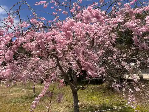 生雲八幡宮(山口県)
