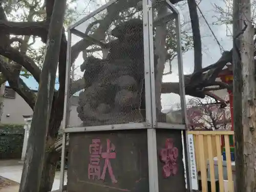 北野神社の狛犬