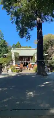 比々多神社(神奈川県)
