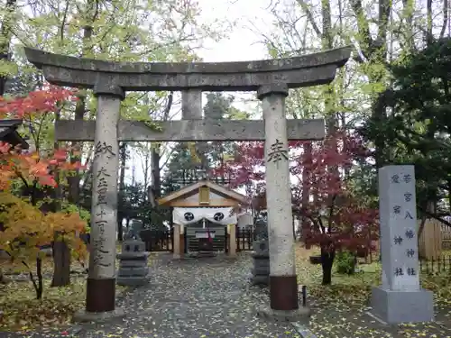 旭川神社の鳥居