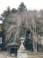 藤内神社(茨城県)