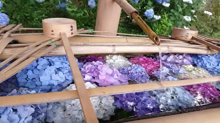 赤城神社の手水舎