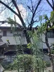 日置神社の自然