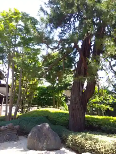 高安寺(東京都)