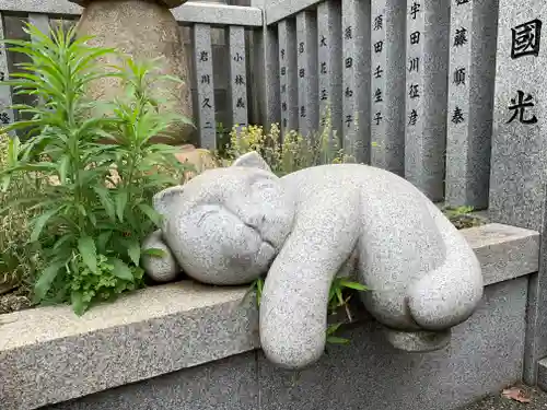 荻窪白山神社の狛犬