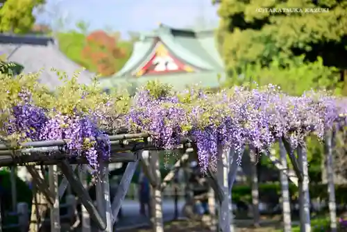 亀戸天神社の庭園