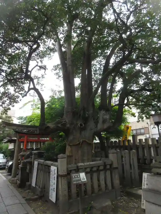 満足稲荷神社のその他建物